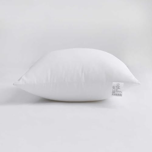 Bedding Throw Pillows for Sofa, Bed Couch Decorative Stuffer Pillow Throw Pillow Insert, Alternative Decorative Pillow (20x20 inch,2)