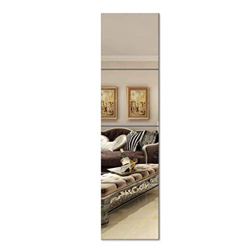 Wall Hanging Full-Length Floor Mirror Home Vanity Mirror Clothing Store Fitting Mirror 15.75in Times AN1014 916