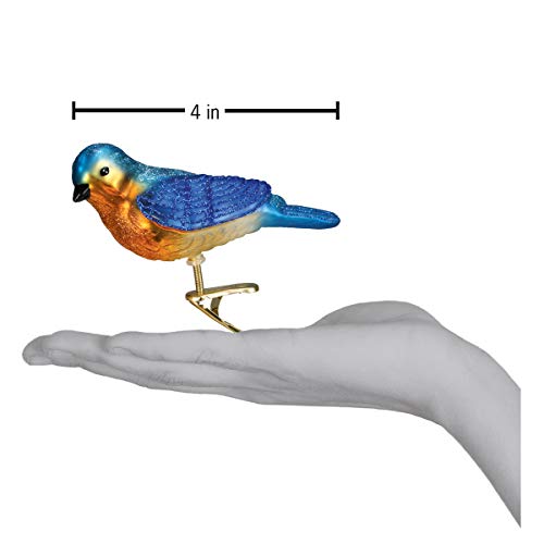 Old World Christmas Bird Watcher Collection Glass Blown Ornaments for Christmas Tree Bluebird, 18043