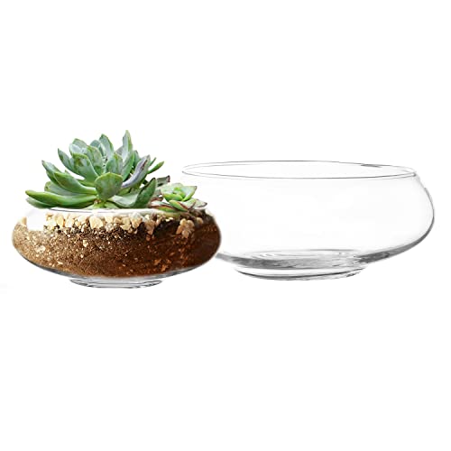 Royal Imports Round Glass Vase Set of 2 – Clear Decorative Glass Bowls for Flowers, Terrariums, Succulent Planters, Bubble Vases, Floral Decor Centerpieces, Glass Flower Pots for Home or Wedding Décor