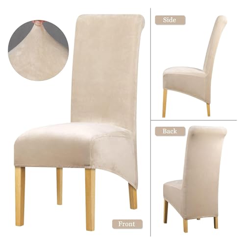 Lellen Stretch XL/Oversized Extra Large Velvet Dining Room Chair Covers for Kitchen Dining,Removable Washable Chair Protectors Slipcovers Large Velvet Dining Chair Covers(Cream,2PCS)