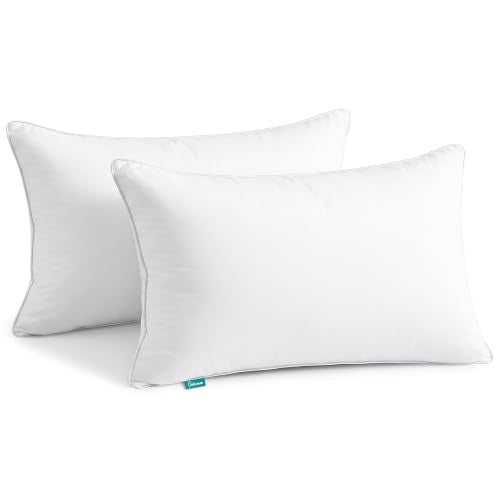Oubonun 20"x30" Decorative Bed Pillow 2 Pack,100% Cotton Cover Living Room