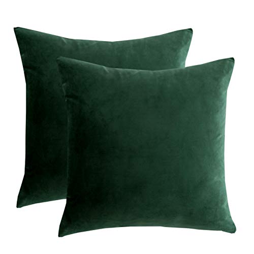 RainRoad Dark Green Decorative Throw Pillow Covers Cushion Cover Pillow Case for Sofa Couch Bed Chair,Soft Square Dark Green Throw Pillows 18x18 Inch,Set of 2