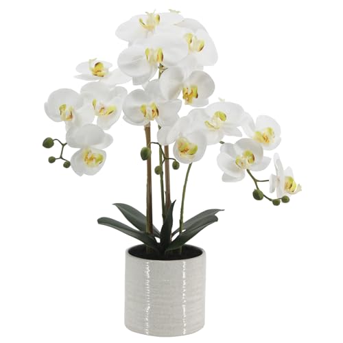 Fake Orchid Plant 23" Tall, Realistic Touch Leaves, Potted Phalaenopsis Artificial Plants Indoor for Home Decor Small Office Home Living Room-White