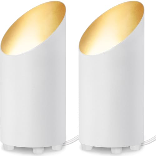 SUNVIE 2 Pack Uplighting Indoor Floor Can Light, 5W Up Lights with 2700K LED GU10 Bulbs, Uplights Floor Spot L