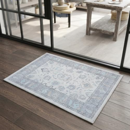 Fame Rugs Modern Oushak Rug 2x3, Doormat Vintage Turkish Gray Oriental Antique Inspired Small Area Rugs, Washable Foldable Luxury Living Room Bedroom (384GB, 2' x 3')