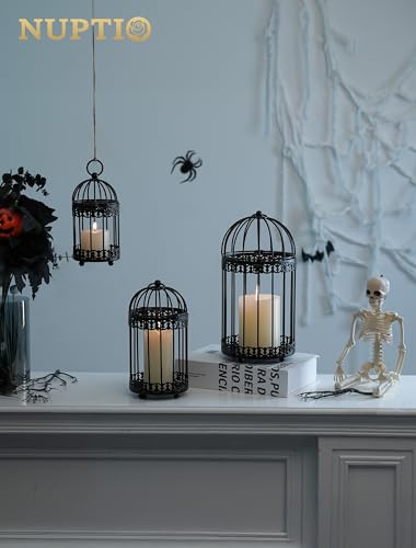 NUPTIO Black Decorative Bird Cage, Birdcage Lantern for Pillar Candles