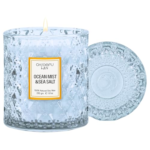 Chloefu LAN Summer California Mist Ocean & Sea Salt Candle, 8.1 oz