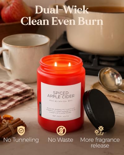 M&SENSE Spiced Apple Cider Scented Soy Candle for Home Autumn Decor Gift