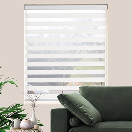 Zebra Roller Shades, Dual Layer Roll Up Blind for Living Room, Semi Sheer Shades Window Privacy Light Control for Day and Night, (Maximum Height 72inch, White Color, Width 34 inch)