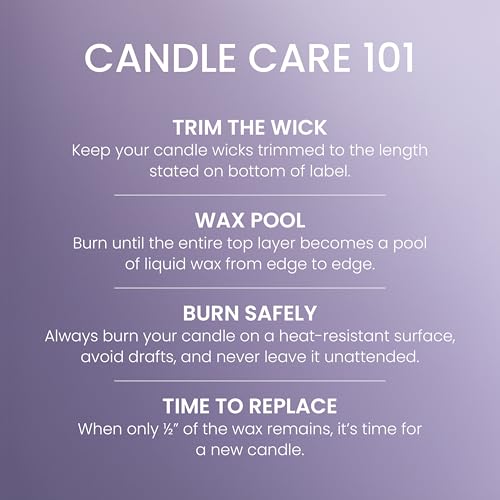 Yankee Candle Dried Lavender & Oak Scented Candle, 14.5oz 3-Wick