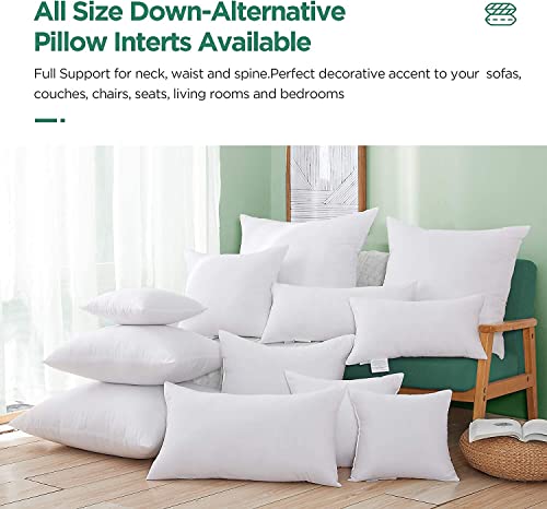 Acanva Square Premium Throw Pillow Inserts with Microfiber Filled, Lumbar Support Decorative Stuffer for Sofa Bed Couch & Chairs