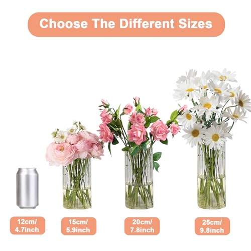 Gute 6 Inch Glass Vases for Decor, Flower Vase for Home Decor, Modern Decorative Clear Vase Centerpieces Living Room, Kitchen