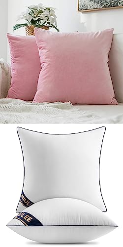 MIULEE Pack of 2 Decorative Velvet Pillow Covers Bright Pink Bundle Set of 2 Pillow Inserts 18x18
