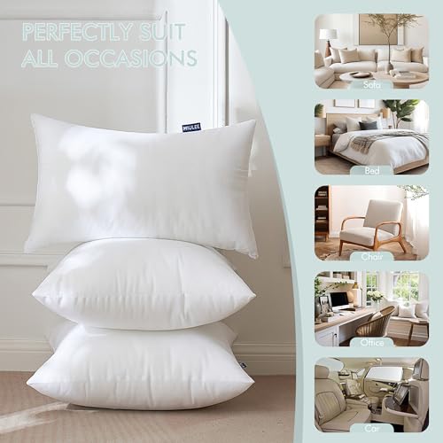 MIULEE Pillow Insert 20x20 Inch Set of 2 Decorative Throw Pillow Inserts