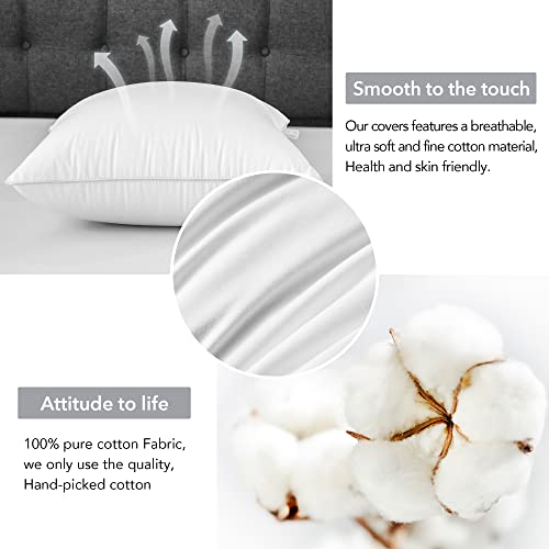 24 x 24 Pillow Inserts (Set of 2) - 24 Inch Square Interior Sofa Throw Pillow with 100% Cotton Cover - Decorative Pillow Insert Pair - White Couch Pillow