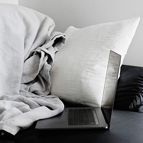 EDOW Throw Pillow Insert, Set of 2 Down Alternative Polyester Square Form Decorative Pillow, Cushion,Sham Stuffer. (White, 18x18)