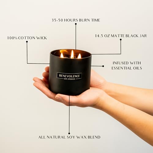 Benevolence LA Premium Black Berries Large 3-Wick Scented Candle – 45-Hour Burn – Luxury Natural Soy Candle for Home – Aromatherapy & Room Decor – 14.5oz