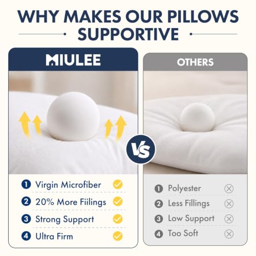 MIULEE 22x22 Throw Pillows Inserts 2 Pack, Decorative Pillows for Couch Bed