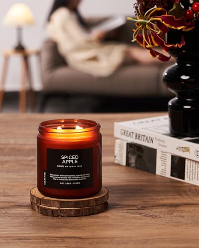 M&SENSE Spiced Apple Scented Candle Non Toxic Soy Wax for Home Aromatherapy