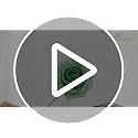 Floweroyal Artificial Flowers Combo Green Flowers Mix Silk Flowers Dahlia Roses with Stems for DIY Wedding Bridal Bouquets, Baby Shower, Floral Arrangement, Table Centerpieces, Home Decorations.