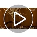 Birchlitland LED Birch Tree 4FT 200L Warm White Fairy Lights, Lighted Trees for Indoor Outdoor Home Thanksgiving Christmas Holiday Decoration