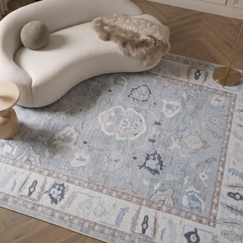 Fame Rugs Modern Oushak Rug, Vintage Turkish Gray Oriental Antique Inspired Area Rugs, Washable Luxury Living Room Bedroom (391GB, 4'9 x 6'9)