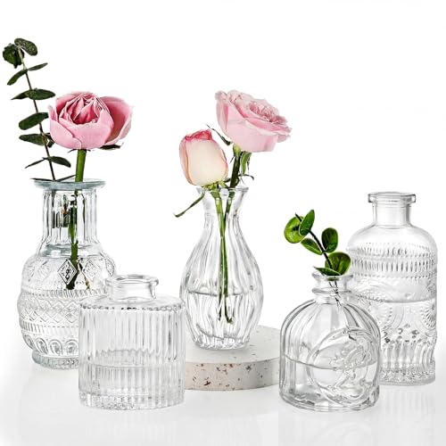 Fixwal Set of 5 Bud Vases, Small Vase for Flowers, Glass Vase for Home Decor, Wedding Decorations, Clear Flower Vases for Centerpieces, Vintage Vase for Home Decor