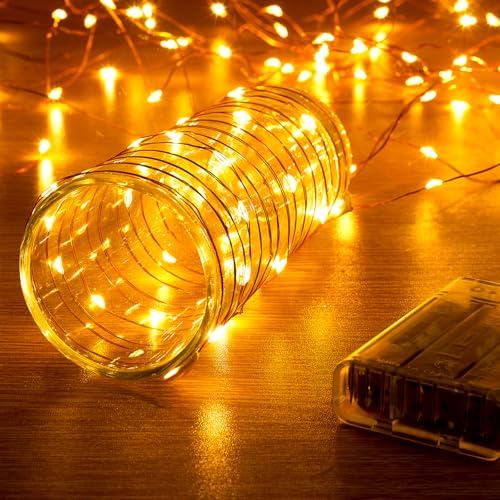 Ariceleo 1 Pack 16.4ft Battery Operated String Lights with Timer, Warm White with Synchronized Twinkle Mode, Fairy Lights Battery Powered, 50 LEDs, Idea for Christmas Bedroom Party Wedding