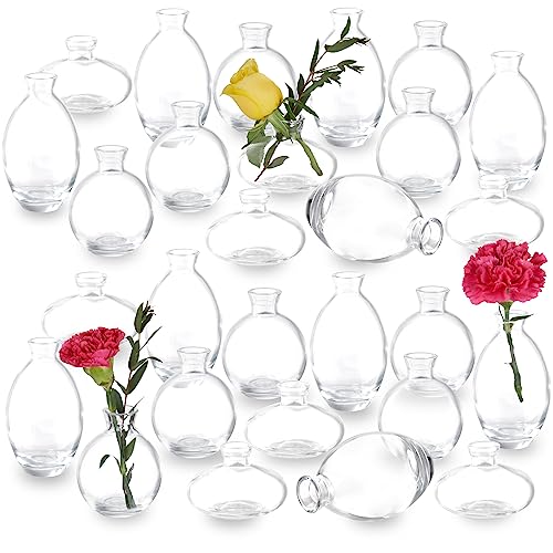 28 Clear Bud Vases in Bulk, Glass Small Bud Vase for Centerpieces, Mini Bud Vase Set for Flowers, Vintage Vases for Rustic Wedding Decorations, Table Decor Flower Bedroom Party Home Decor