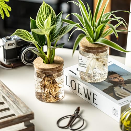 Glass Propagation Stations for Plants -Desktop Flower Vases,Propagation Flower Vases Set – 2 Large & 2 Small for Plant Cuttings,for Living Room, Bedroom Decoration,Home,Office Decor (4)