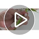 LYLYFAN Babys Breath Artificial Flowers,30 Pcs Gypsophila Faux Flowers for Wedding Party Home Garden Decoration