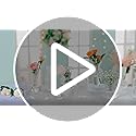 Modern Clear Glass Bud Vase Set: Glasseam 4Pcs Small Mini Flower Centerpieces Vases Handmade DecorativeCute Short Window Corner Home Decor for Wedding Reception Dining Table Single Rose Flowers