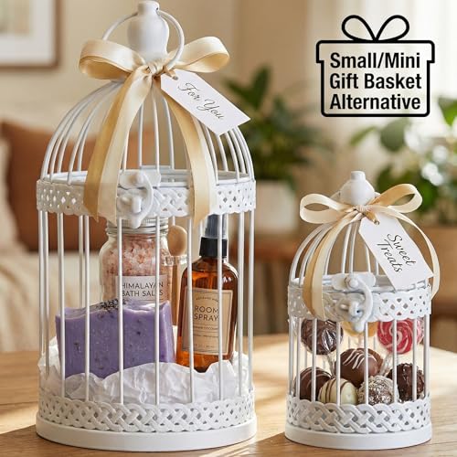 Vela Lanterns Decorative Indoor Birdcage Candle Holder Set of 2, White