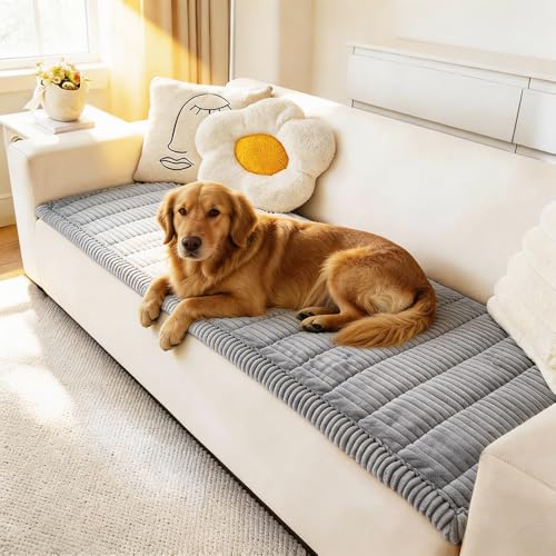 Awjcsv Couch Cover for Dogs Washable, Fuzzy Pet Couch Covers for 3 Cushion Sofa Pet Friendly, Non Slip Sofa Cover (Light Blue-Grey, 27.6" X 82.7"/70 X 210cm)