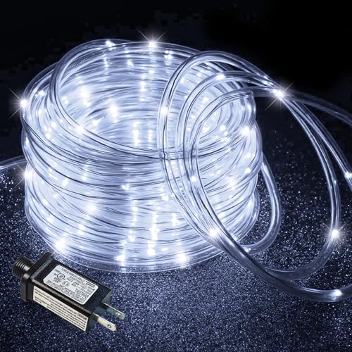 66FT 200 LED Rope Lights for Outside, Plug in Rope Lights Outdoor Waterproof with 8 Modes, Connectable Clear Tube Lights for Indoor Bedroom Garden Backyard Patio Pool Tree Decorations, Cool White