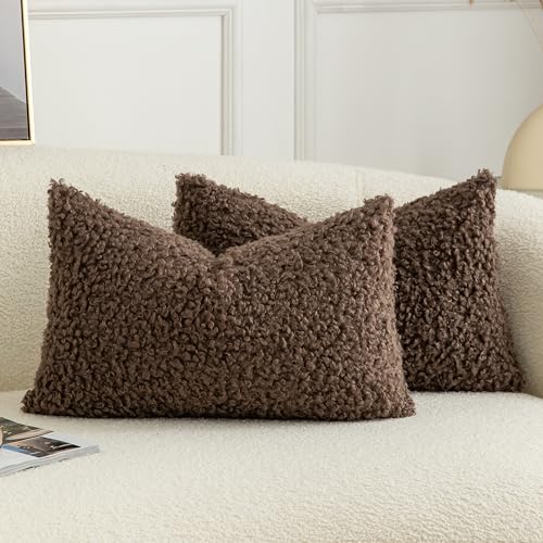 Pack of 2 Curly Teddy Wool Faux Fur Throw Pillow Covers Fuzzy Accent Soft Sherpa Pillowcases Sheepskin Fleece Decorative Cushion Case for Sofa Couch Living Room 12x20 Inch Chocolate