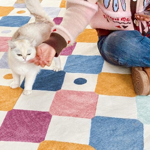 jinchan 4x6 Area Rug Colorful Kids Play Mat Washable Classroom Rug Berries