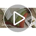 MIULEE Pack of 2 Sage Green Decorative Pillow Covers 20x20 Inch Soft Chenille Luxurious Couch Throw Pillows Farmhouse Cushion Covers with Elegant Design for Sofa Bedroom Living Room Summer Home Decor