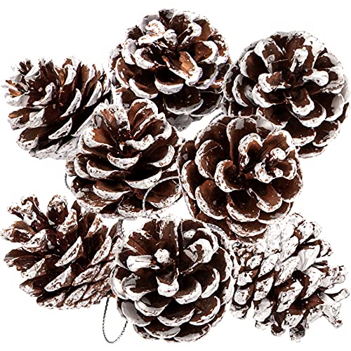 Whaline 25Pcs Christmas Natural Pine Cones Bulk Rustic Snow Pinecones with String Pine Cone Pendant Winter Holiday Hanging Ornament for Xmas Tree Gift Tag Party Decoration, 1.6-2 Inch