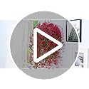 MARTINE MALL 2 Pcs Look Real Artificial Flowers for Outdoors, Realistic Artificial Hanging Flowers for Outdoors, UV Resistant Fake Hanging Plants Silk Petunia Faux Flowers for Porch Patio, Fuchsia