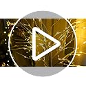 Dazzle Bright Lighted Tree, 6 Ft Birch Tree with Fairy Lights for Decoration Inside Outside, Birch Tree with 144 LED Lights for Christmas Holiday Wedding Home Room Decor, 2 Pack