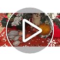 Christmas Tree Skirt Red Tree Skirt Glitter Gnomes Snowflake Xmas Winter Tree Skirt 48 Inch for Red Christmas Indoor Outdoor Decorations