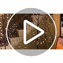 Lightshare Set of 3 Star Light Trees Christmas Decorations, Including 3 feet, 5 feet, and 6 feet, Warm White Christmas Tree, Brown Branch