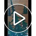 Pine Tree Decor Tree Wall Decor Outdoor Metal Wall Art Decor Hanging Farmhouse Country Forest Cabin Decor