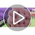 Reginary 4 Pcs Flower Pillow Flowers Shaped Throw Pillows 15.7" Cute Flower Seating Cushion Home Decorative Pillows for Sofa Couch Bed Back to School First Day of School Decor(Petals)