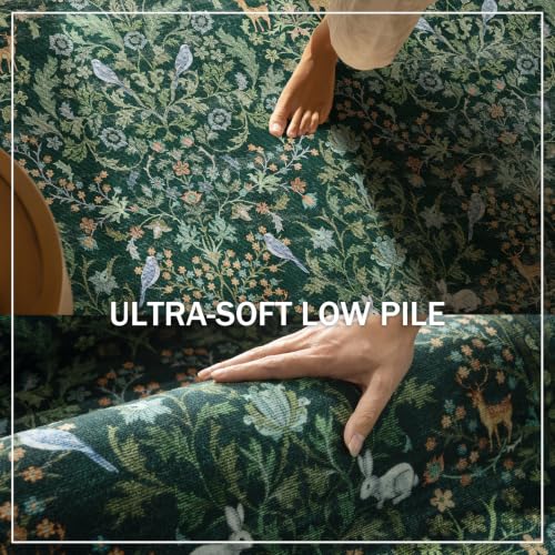 Washable Area Rugs for Living Room: 5x7 Rug Stain Resistant Non Slip Low Pile Lightweight Soft Carpets Rugs for Bedroom Kitchen Dining Room Nursery Kids Room Farmhouse Home Office Indoor