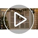 Minetom Clear Christmas String Lights 100 Count 20 Feet Incandescent Bulb Mini Lights for Indoor Xmas Tree Garland Birthday Wedding Party Festival Decoration, Green Wire