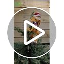 Tree Buddees Santa Riding a T-Rex Funny Christmas Tree Topper - Large 10"