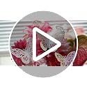 Laser Butterfly Wall Decor, 48Pcs 2 Styles 3 Sizes Butterflies for Birthday Cake Cupcake Toppers, 3D Paper Iridescent Sticker Graduation Grad Cap Decorations Baby Shower Girl Room Nursery Decals
